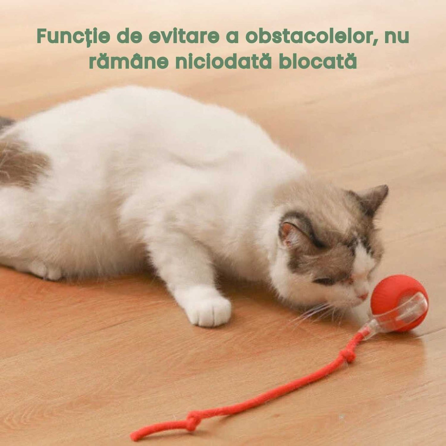 RoboBall™ Minge inteligenta pentru animale de companie