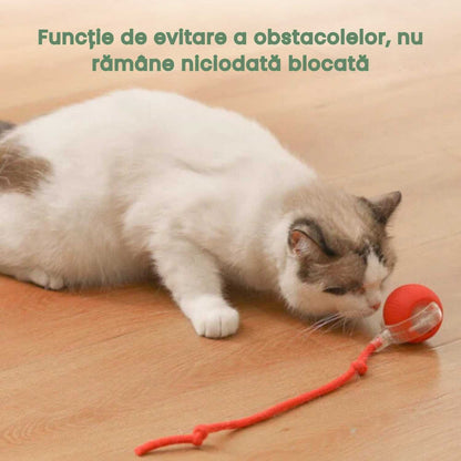 RoboBall™ Minge inteligenta pentru animale de companie