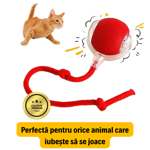 RoboBall™ Minge inteligenta pentru animale de companie